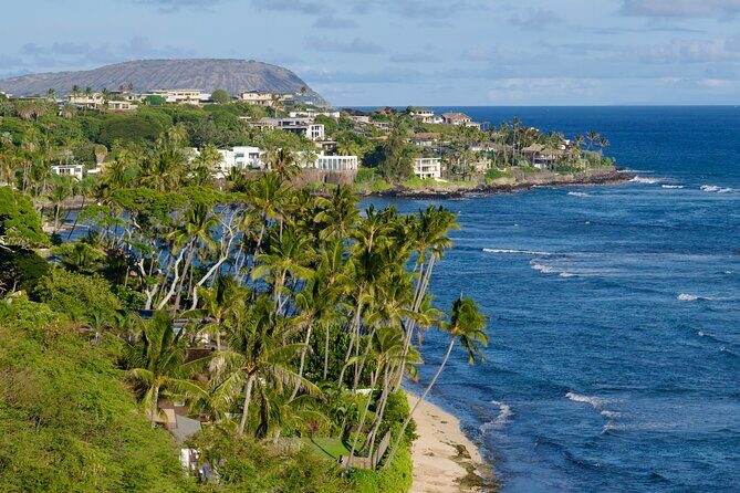 Private Circle Island Tour-Oahu-Customizable - Haleʻiwa and North Shore: turtles, food trucks, and surf context