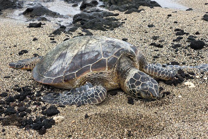 Private Circle Island Tour we build your dream Itinerary - Diamond Head to Mokoli’i Island: viewpoints, then a little wow-factor