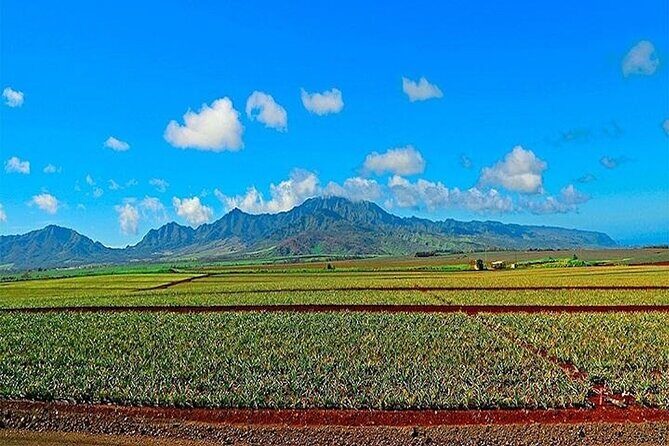 Private Customizable Oahu Grand Circle Island Tour from Waikiki - Private Oahu Grand Circle: You Get Control of the Day