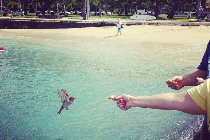 Private Dole,Garlic Shrimp,Haleiwa,North Shore Customizable tour - Value: what $462.60 per group really means for your budget