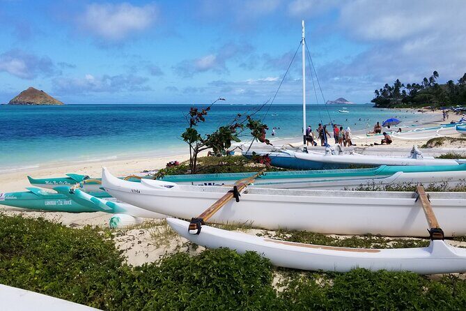 Private Dole,Garlic Shrimp,Haleiwa,North Shore Customizable tour - Who should book this private North Shore / Honolulu / East Oahu day