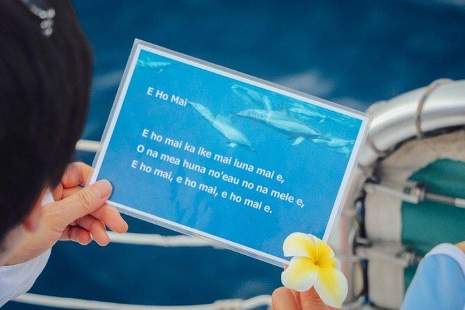 Private Dolphin Swim with Slide for up to 15 Passengers - Hula, Music, and Special-Occasion Energy on Board