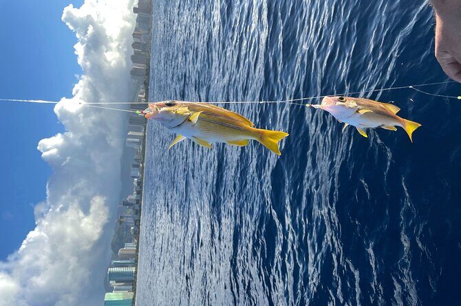 Private Fishing Charter for Family and Friends in Honolulu - What you do on the boat: briefing, bait, and hands-on help
