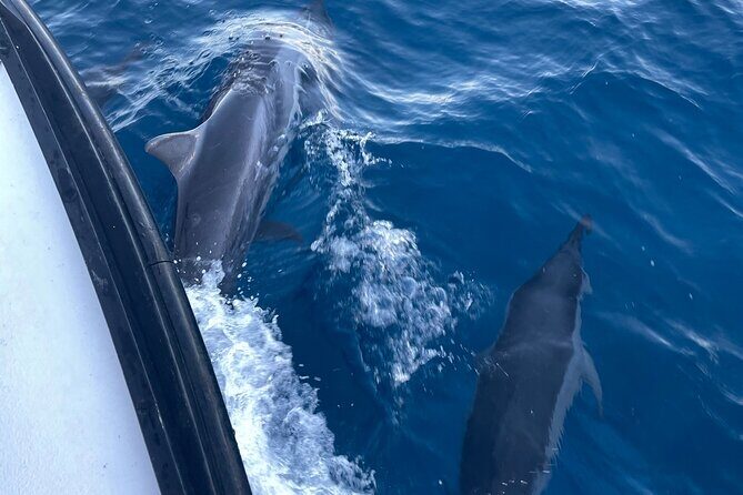 Private Fishing Charter for Family and Friends in Honolulu - The 2-hour bottom reef plan: realistic expectations for your catch