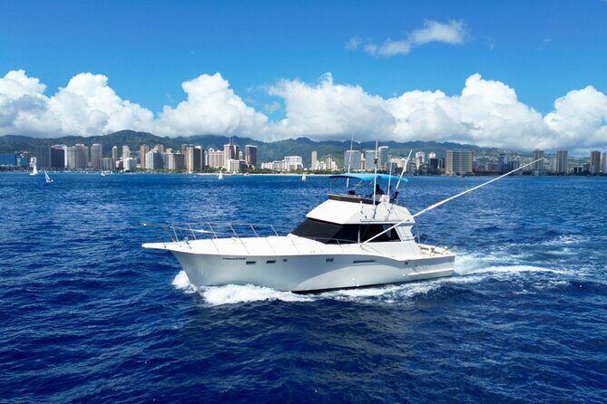 Private Luxury Sportfishing Experience Aboard Limitless - The Nearshore Plan B When the Bite Slows