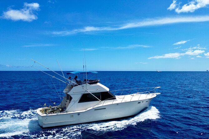 Private Luxury Sportfishing Experience Aboard Limitless - Price and Value: What $1,399 Really Covers (Up to 6)