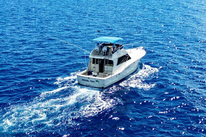 Private Luxury Sportfishing Experience Aboard Limitless - Weather, Sea Conditions, and the Reality of No Guaranteed Catch