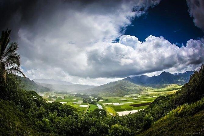 Private luxury tour of Oahu island - The 4–5 Hour Reality Check: Short Stops, Big Payoff