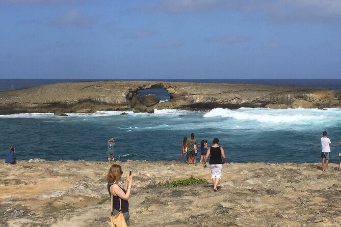Private luxury tour of Oahu island - Turtle Beach and Surf-Country Stops: Laniakea, Waimea, Shark’s Cove