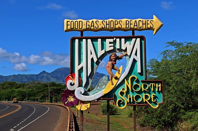 Private North Shore of Oahu Tour - Who This Tour Fits Best