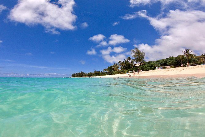 Private Oahu Pearl Harbor and Island Sightseeing Combination Tour - How to add that Blue Hawaii tuff cone photo-and-snorkel stop