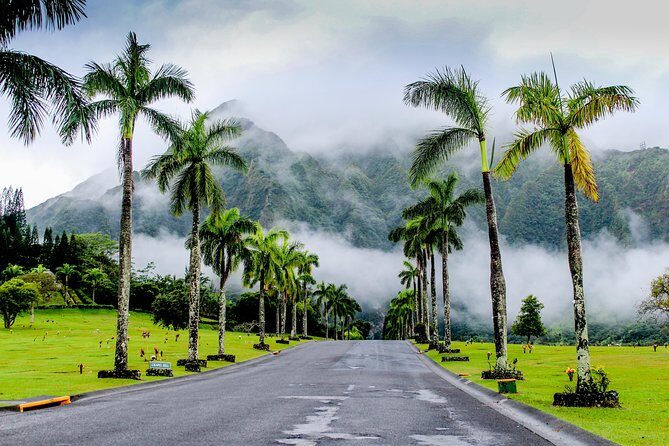 Private Oahu Van Tour - Kahuku Farms at Fumi’s: Shrimp, Ponds, and the Practical Food Detour