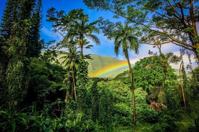 Private Oahu Van Tour - Halona Blowhole: A Southeast Coast Stop With Serious Drama