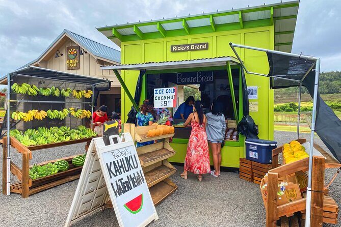 PRIVATE Premium Circle Island Tour (12 Stops) - Kahuku Food Time and Shark’s Cove Water Views