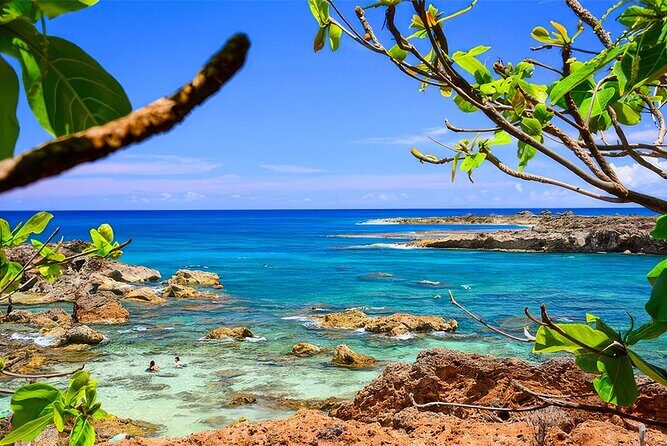 PRIVATE Premium Circle Island Tour (12 Stops) - Price and Value: What $525 per Group Really Buys
