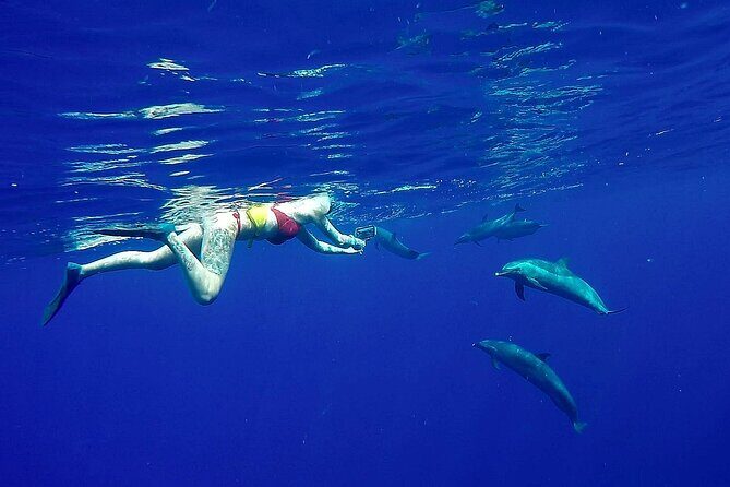 Private Sea’fari Expedition • 8 Guests Included (Expandable) - Sea’fari in 3 Hours: Why This Format Works on Oahu