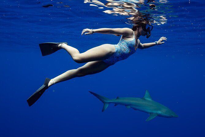 Private Shark Dive, Oahu, Hawaii (6 Guest) - Getting to the Haleiwa meeting point and starting on time