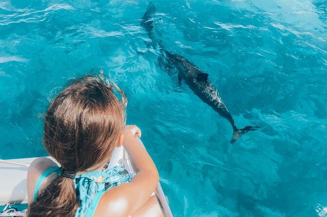 Private Snorkel Trip from Oahu on a Yacht - The Hosted Bar and Snacks: Comfort Without the Extra Planning