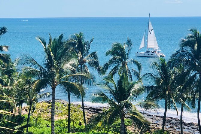 Private Snorkel Trip from Oahu on a Yacht - Wildlife Expectations: Manage the Odds, Enjoy the Process