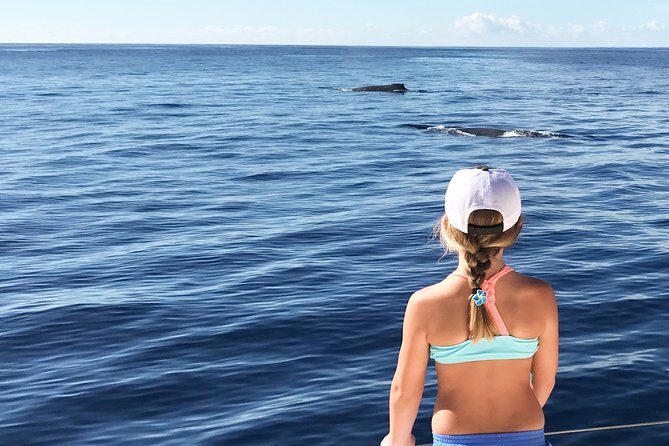Private Snorkel Trip from Oahu on a Yacht - Anchoring and Snorkeling: Instruction, Sea Turtles, and Room to Chill