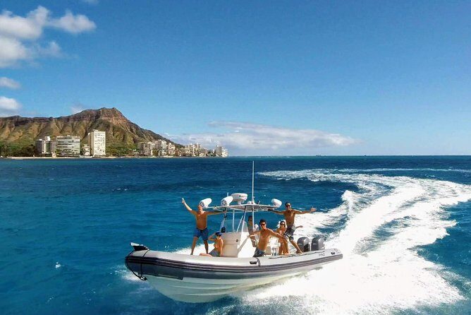 Private Snorkeling and Wildlife on The Adventure Boat - Key points at a glance