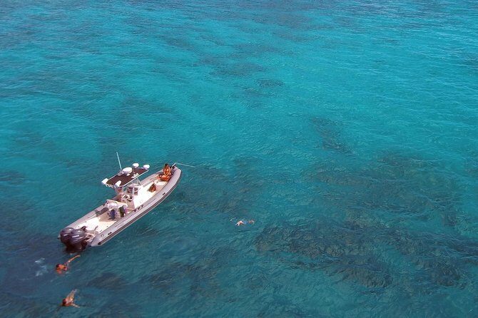 Private Snorkeling and Wildlife on The Adventure Boat - Wildlife spotting: dolphins, turtles, whales, and reef life