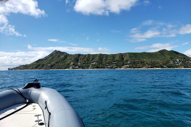 Private Snorkeling and Wildlife on The Adventure Boat - What to bring (and how to get more out of your 2 hours)