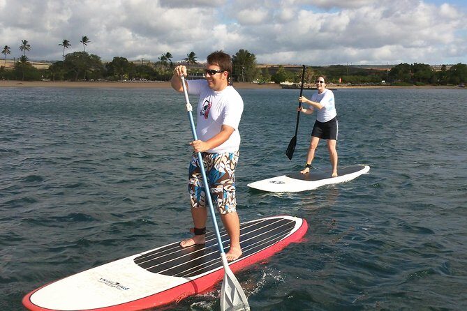 Private Stand up Paddle Lesson and Tour (for 1 or more paddlers) - Turtle chances: how to get the best experience without expecting miracles