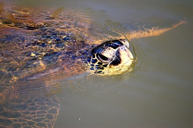 Private Stand up Paddle Lesson and Tour (for 1 or more paddlers) - Included gear and what to bring for a smooth day