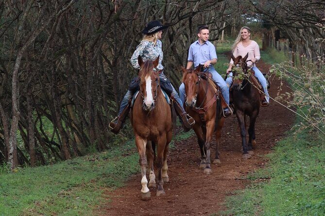 Private Sweetheart Horseback Ride - Practical packing for Oahu weather and ranch comfort