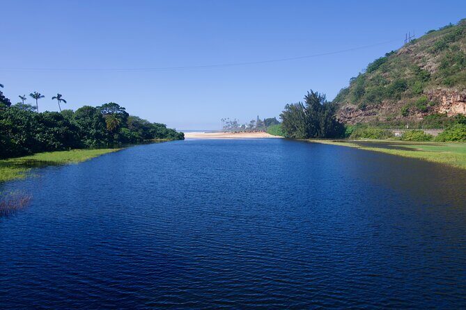 Private Tour Oahu including Waimea Waterfall-Customizable - North Shore food options: quick bites, or plan for a longer meal
