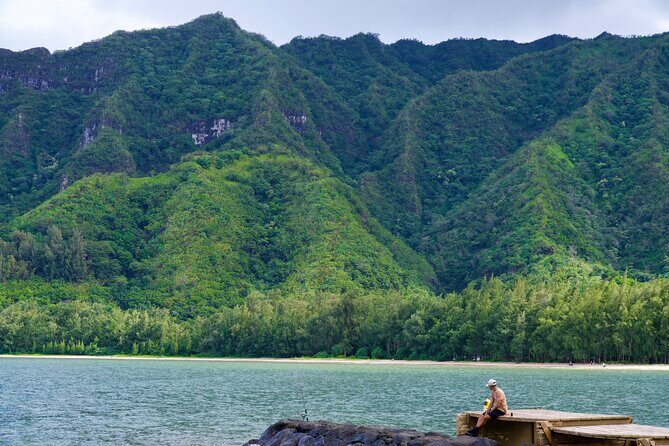 Private Tour Oahu including Waimea Waterfall-Customizable - Extra wildlife and scenery swings: monk seals and the coast road