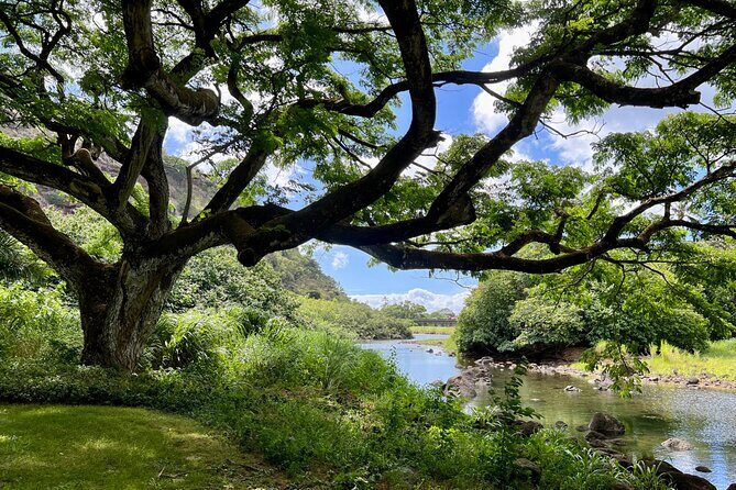 Private Tour Oahu including Waimea Waterfall-Customizable - Haleiwa Beach Park on the North Shore: turtles, surf, and wide-open views