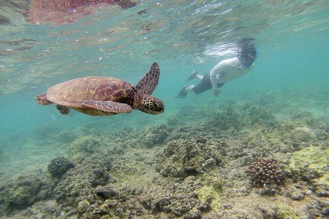 Private Tour of Oahu for 6 to 11 people - up to 8 hours - Booking smart: how to get the best day