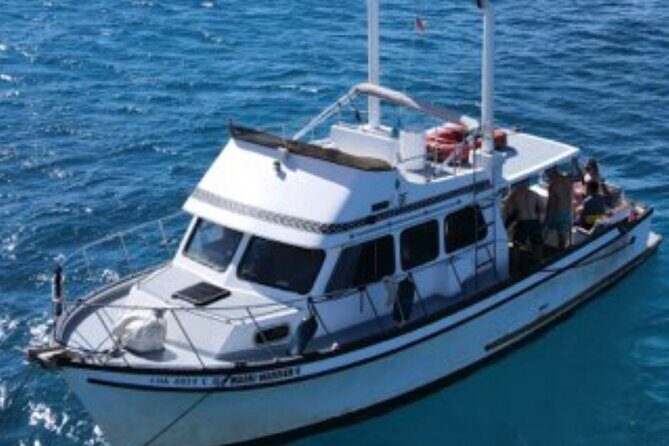 Private Turtle Canyon Snorkel Tour - Up to 6 Passengers - Price and value for a group of up to 6