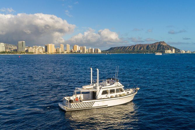 Private Turtle Canyon Snorkel Tour - Up to 6 Passengers - Turtle Canyon snorkeling: what the crew time really changes