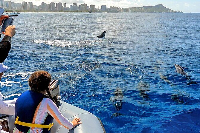 Private Whale Watching Adventure - Morning versus afternoon on Oahu: picking the slot that fits your day