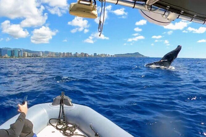 Private Whale Watching Adventure - The boat setup: Zodiac-speed access with tube seating tradeoffs