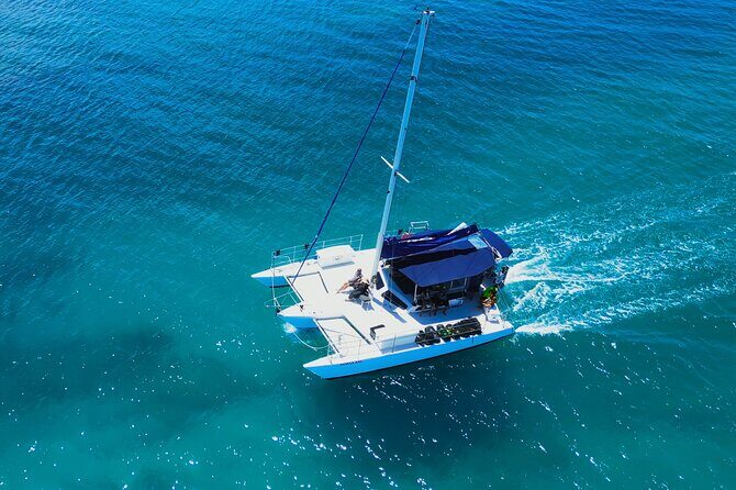 Sail and Turtle Snorkeling Tour in Waikiki - Should you book the Sail and Turtle Snorkeling Tour in Waikiki?