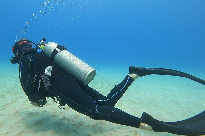 SCUBA Dive at Electric Beach with Photos -No Certification Needed - Reef Time at Kahe Point: Sea Turtles, Pipes, and a Lot of Fish