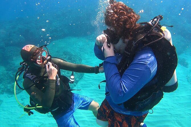 SCUBA Dive at Electric Beach with Photos -No Certification Needed - Where You Start: Kahe Point Beach Park and the Shore Experience