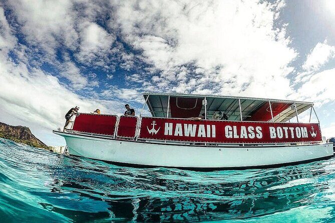 Sea Safari, Dolphins, Turtles and Waikiki Cruise - The 1-hour Waikiki cruise: what it feels like on the water