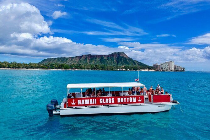 Sea Safari, Dolphins, Turtles and Waikiki Cruise - Stop 1: Kewalo Basin Harbor and boarding on a 50-foot catamaran