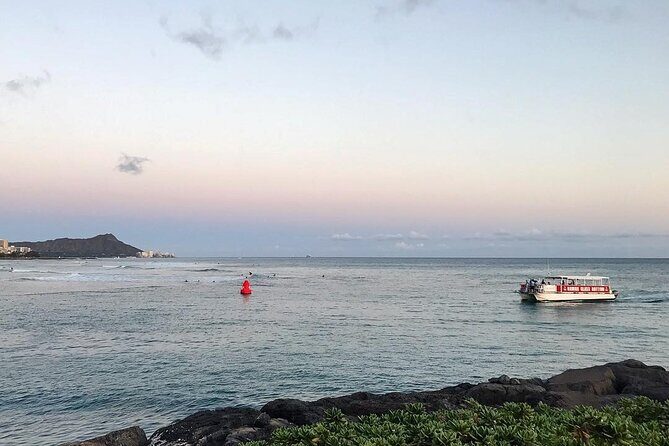 Sea Safari, Dolphins, Turtles and Waikiki Cruise - Guides and spotting: the difference between an okay trip and a fun one