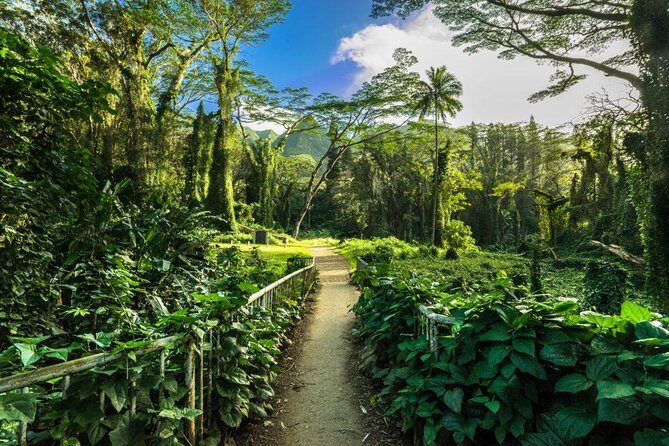 Self guided Hike Trail to Nature Walk & Waterfall - Why Manoa Falls feels like a real Oahu change of pace