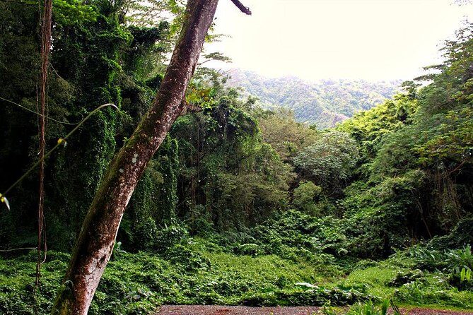 Self guided Hike Trail to Nature Walk & Waterfall - Price and value: is $79 worth it for this waterfall hike?