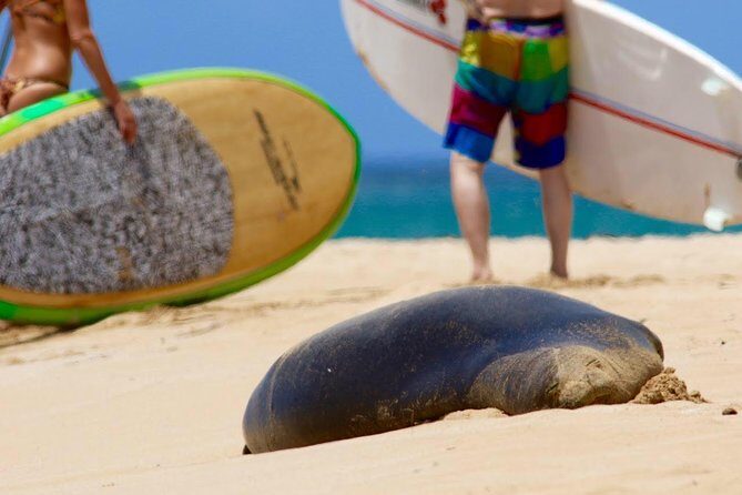 Semi-Private Surf Lesson - Equipment Included: The Practical Advantage for First-Timers