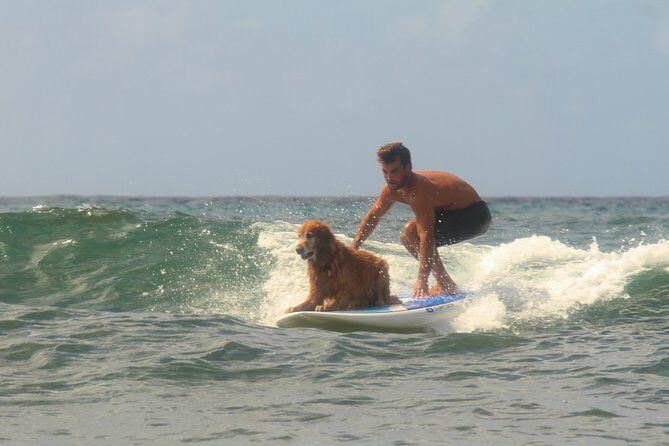 Semi-Private Surf Lesson - Price and Value: Why $125 for 2 Hours Can Be a Smart Use of Time