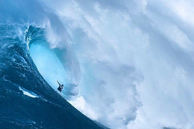 Shark Cage Diving On "The World Famous North Shore of Oahu", Hawaii - Price and value: is $100 worth it on Oahu?