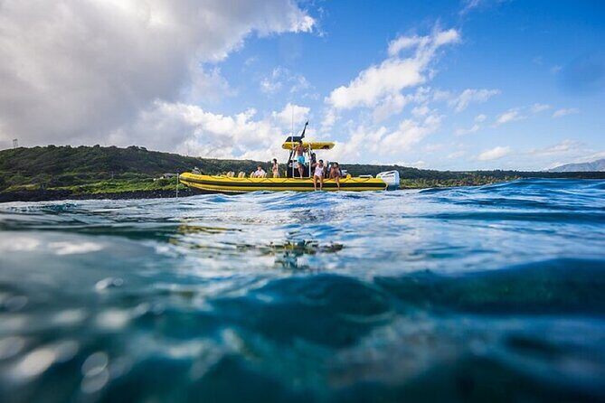 Shark-Dive Tour on Oahu's North Shore - Price and value: why $135 can make sense (and when it might not)